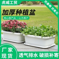 陽臺種菜盆塑料花盆家用長方形大號特惠托盤花卉蔬菜專用種菜盆