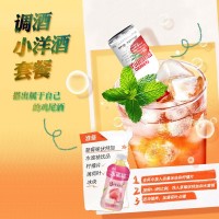 迷你小酒版便利店調(diào)酒洋酒夜市擺攤公路商店微醺套裝50毫 升小瓶裝
