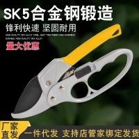 不銹鋼修枝剪修剪樹枝神器 強(qiáng)力樹枝剪樹枝修剪多功能園藝果枝剪