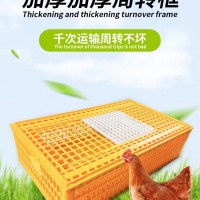 雞筐加厚原料出口款 塑料雞鴨鵝運(yùn)輸籠 養(yǎng)殖雞用周轉(zhuǎn)箱 運(yùn)輸雞鵝