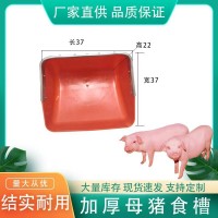 新型母豬塑料食槽加厚鋼板母豬料槽盆定位欄產(chǎn)床豬用食槽獸用食槽
