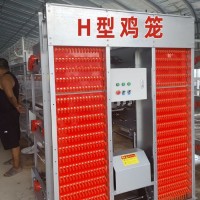 肉蛋雞籠生產(chǎn)廠家 養(yǎng)雞設備階梯式蛋雞籠 雞籠家用全自動養(yǎng)雞設備