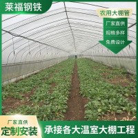 設計溫室大棚花卉蔬菜大棚單體養(yǎng)殖大棚骨架農(nóng)業(yè)種植蔬菜大棚廠家